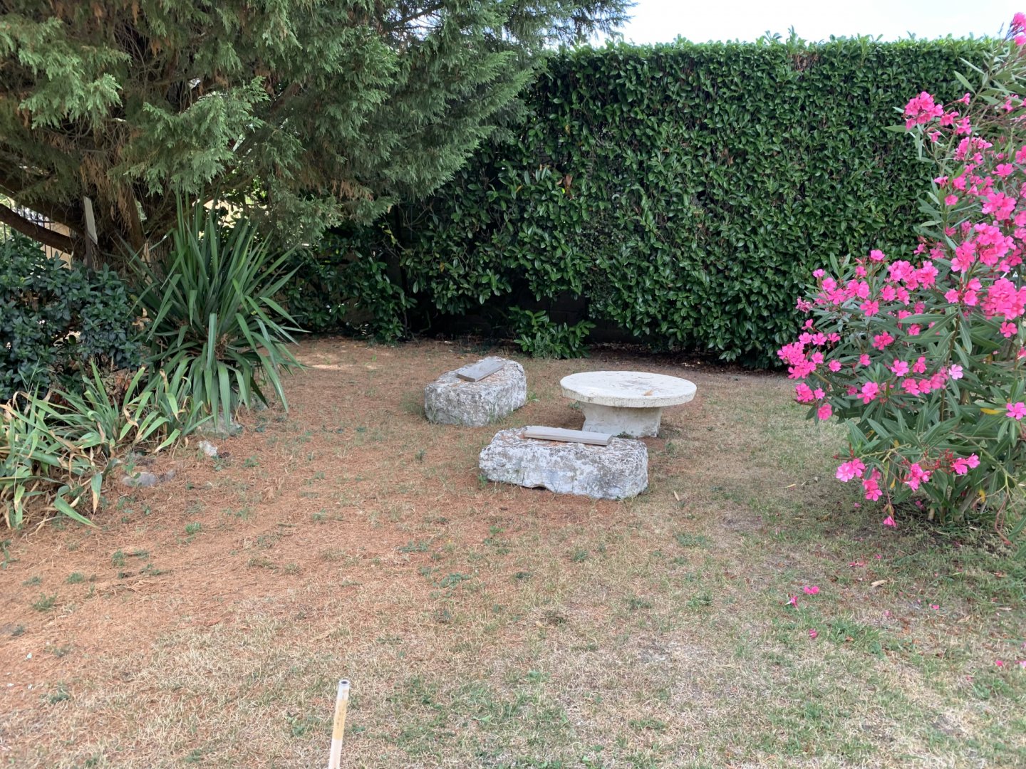 Coin détente dans le jardin